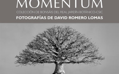 La exposición Momentum, del fotógrafo David Romero, llega a Leganés