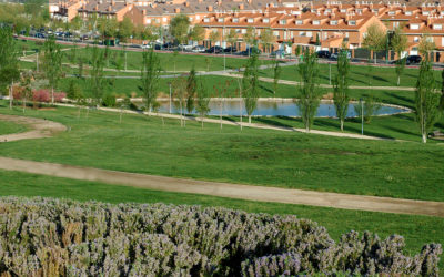 El PSOE de Leganés organiza un reparto de plantas en el Parque de Valdegrullas