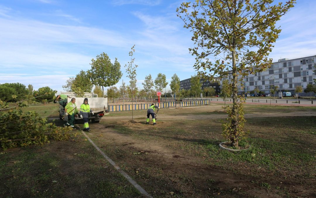 El Ayuntamiento de Leganés inicia el proyecto de plantación y reforestación