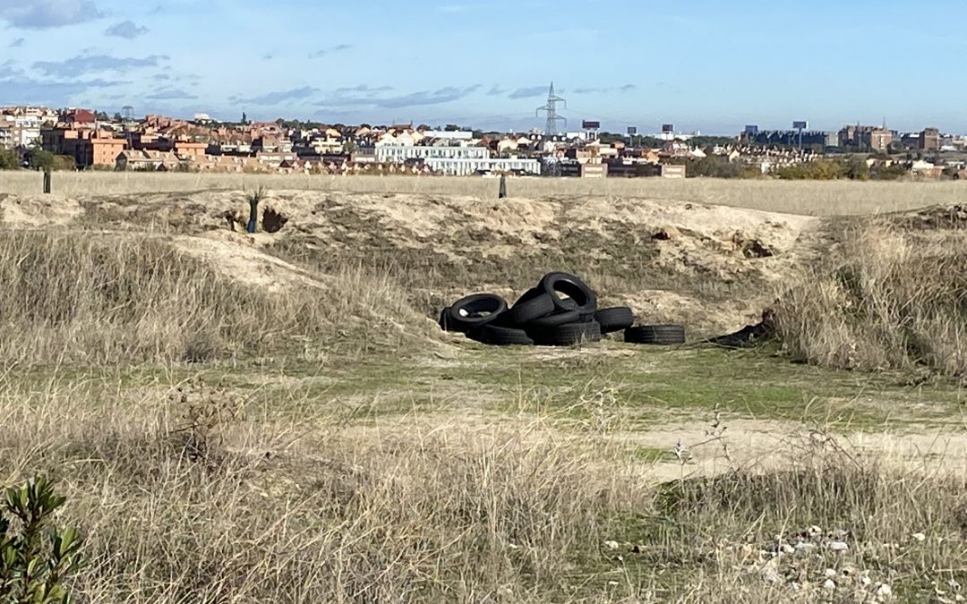 Aprobada la moción para la vigilancia de escombros ilegales por drones