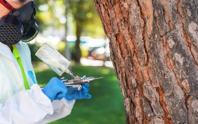 Cerca de 3.000 árboles serán tratados para evitar las plagas de orugas
