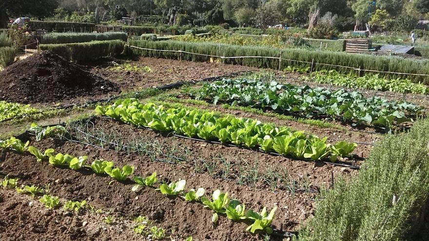 Alcorcón contará con una zona de Huertos Urbanos