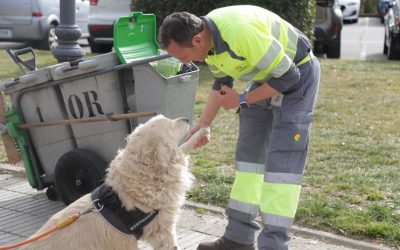 El IMEPE de Alcorcón promueve un distintivo dirigido a Comercios Amigos de los Animales