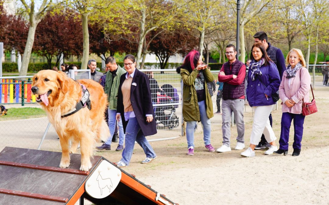 Más de 100 perros han participado en la inauguración del circuito de agilidad del parque de los Planetas