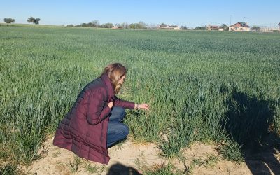 Madrid anima a los jóvenes a que tomen el relevo generacional en el campo