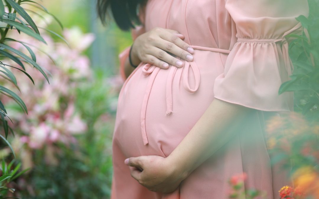 El Portal de la Maternidad y la Paternidad que informa sobre sus ayudas y recursos públicos de protección a la familia