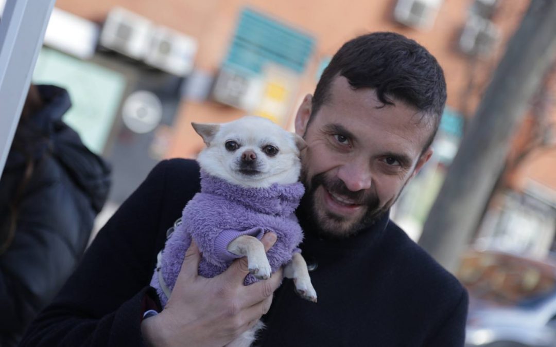 Ganar Alcorcón propone medidas integrales para el bienestar animal en el municipio