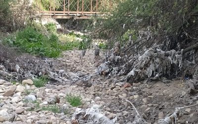 El PSOE denuncia vertido sin depuración al arroyo de Vallelargo en Boadilla del Monte