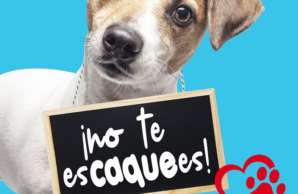 El Ayuntamiento de Sevilla la Nueva lanza la campaña «No te escaquees» para mantener limpias las calles y promover la convivencia entre vecinos y mascotas