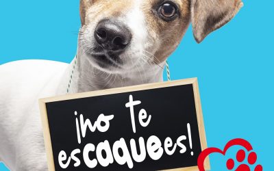 El Ayuntamiento de Sevilla la Nueva lanza la campaña «No te escaquees» para mantener limpias las calles y promover la convivencia entre vecinos y mascotas