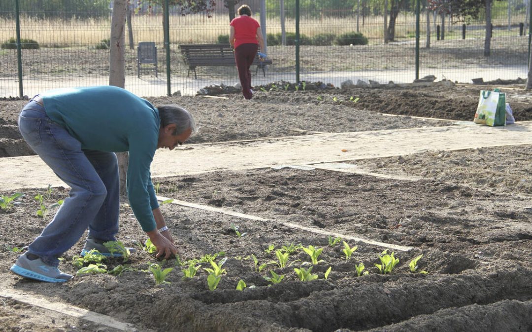 Convocatoria de huertos urbanos de ocio en Leganés para personas mayores de 65 años