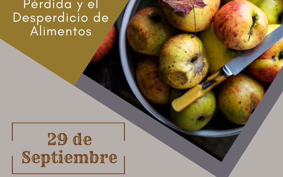 El Ayuntamiento de Leganés Promueve la Concienciación Contra el Desperdicio de Alimentos en una Jornada Especial