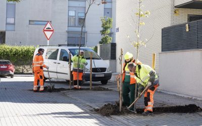 ‘Plantando vida’ el ayuntamiento de Alcorcón planta 500 árboles y 210 arbustos