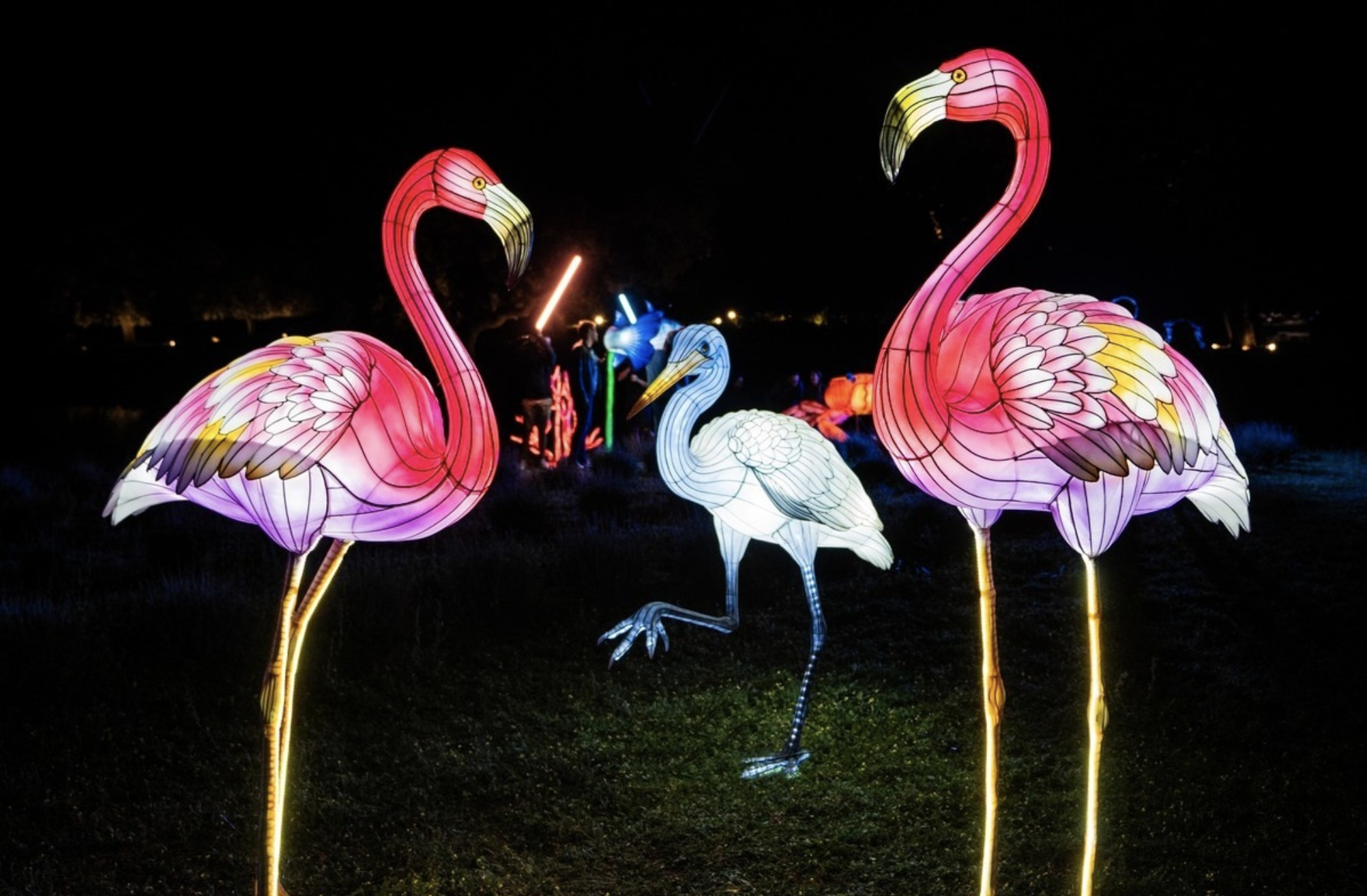 Esta navidad ‘Brilla Madrid Zoo’ el nuevo espectáculo de luces de Madrid