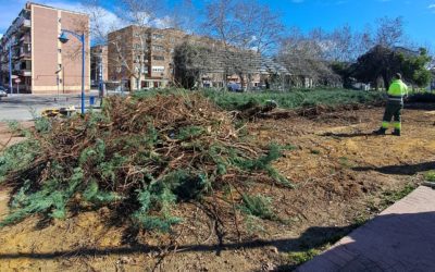 El Ayuntamiento de Leganés impulsa plantación de árboles y arbustos para revitalizar el entorno verde del municipio
