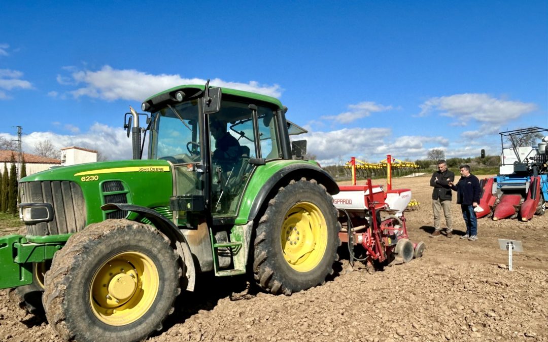 La Comunidad de Madrid explora nuevas opciones de cultivo para enfrentar la sequía y mejorar la rentabilidad agrícola