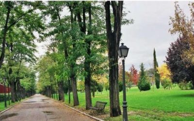 Encuentran sin vida a una mujer sin hogar bajo un puente en Madrid