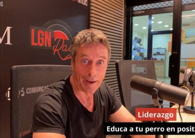 26/04/24 Liderazgo. Educa a tu perro en positivo