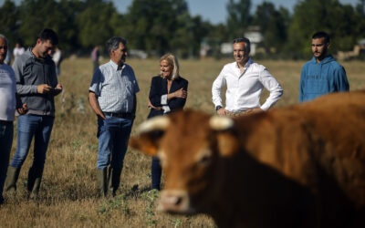 La Comunidad de Madrid incrementa significativamente las ayudas a jóvenes agricultores y ganaderos