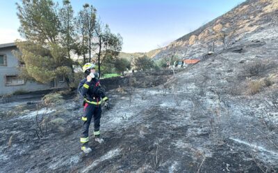 Incendio forestal en San Martín de la Vega controlado tras movilización masiva de recursos