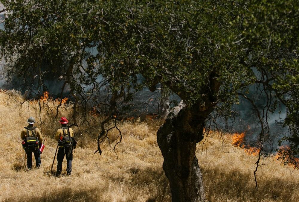 Un incendio destruye casi una hectárea y amenaza las viviendas de Paracuellos del Jarama