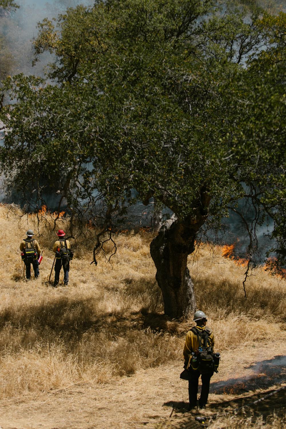 Un incendio destruye casi una hectárea y amenaza las viviendas de Paracuellos del Jarama