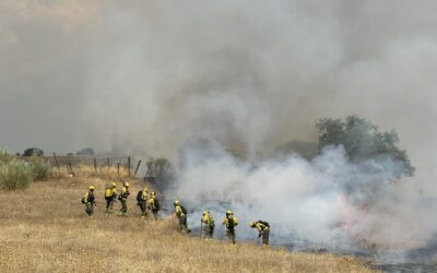 El incendio en Tres Cantos evoluciona positivamente y los vecinos evacuados ya han regresado