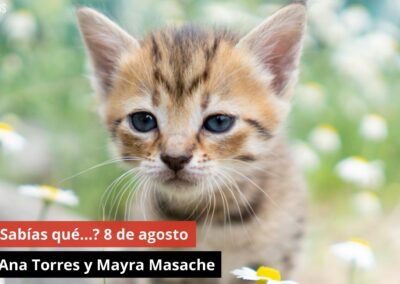 08/08/24 ¿Sabías qué…? 8 de agosto. Con Ana Torres y Mayra Masache