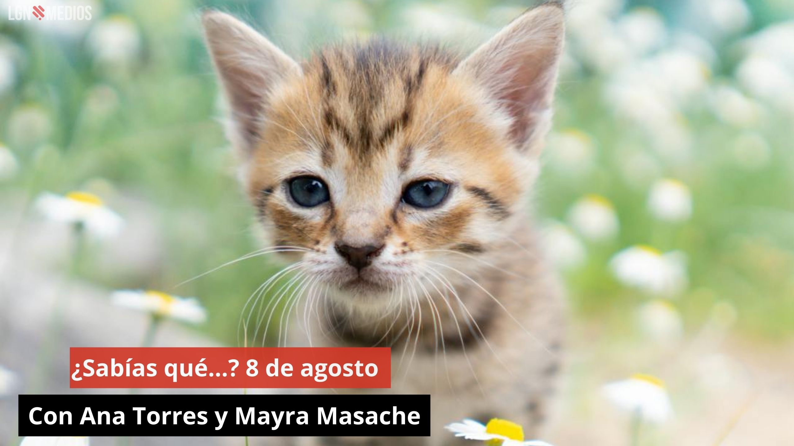 ¿Sabías qué…? 8 de agosto. Con Ana Torres y Mayra Masache