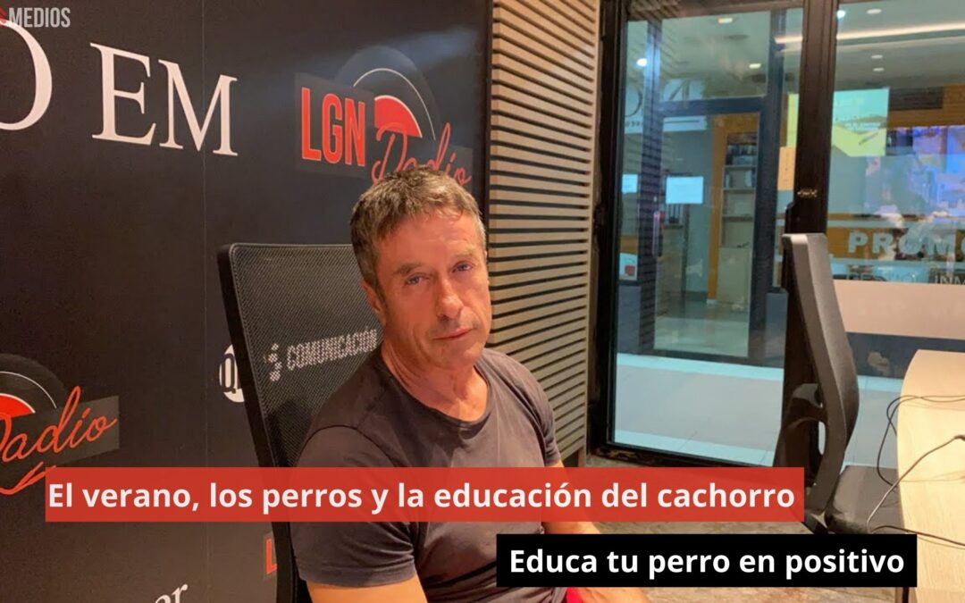 14/08/24 El verano, los perros y la educación del cachorro. Educa tu perro en positivo