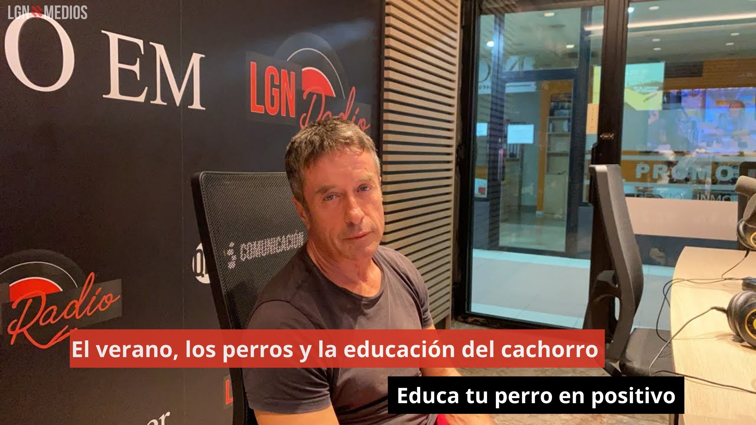 El verano, los perros y la educación del cachorro. Educa tu perro en positivo