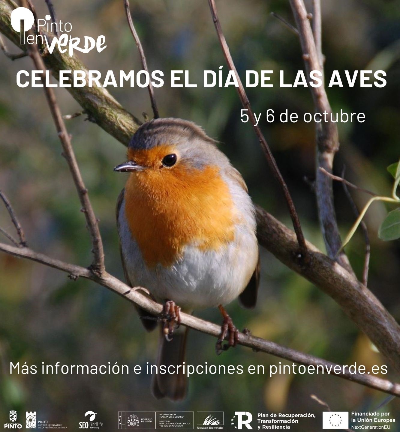 "Pinto en Verde" celebra el Día de las Aves con talleres y rutas ornitológicas en octubre