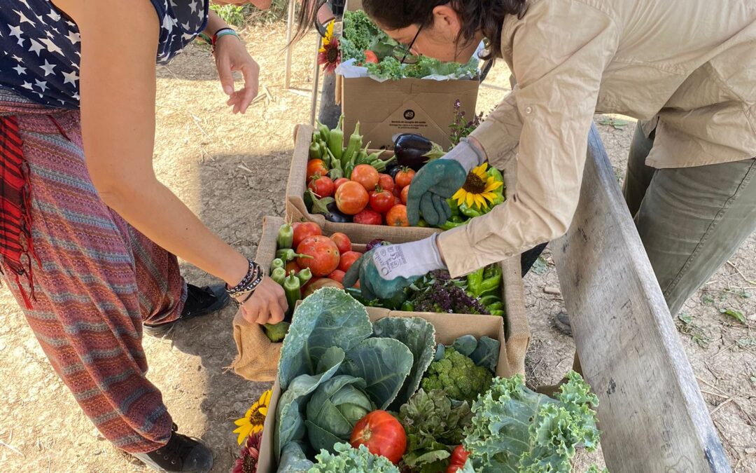 Madrid exhibe su riqueza agrícola en una jornada de puertas abiertas en Aranjuez