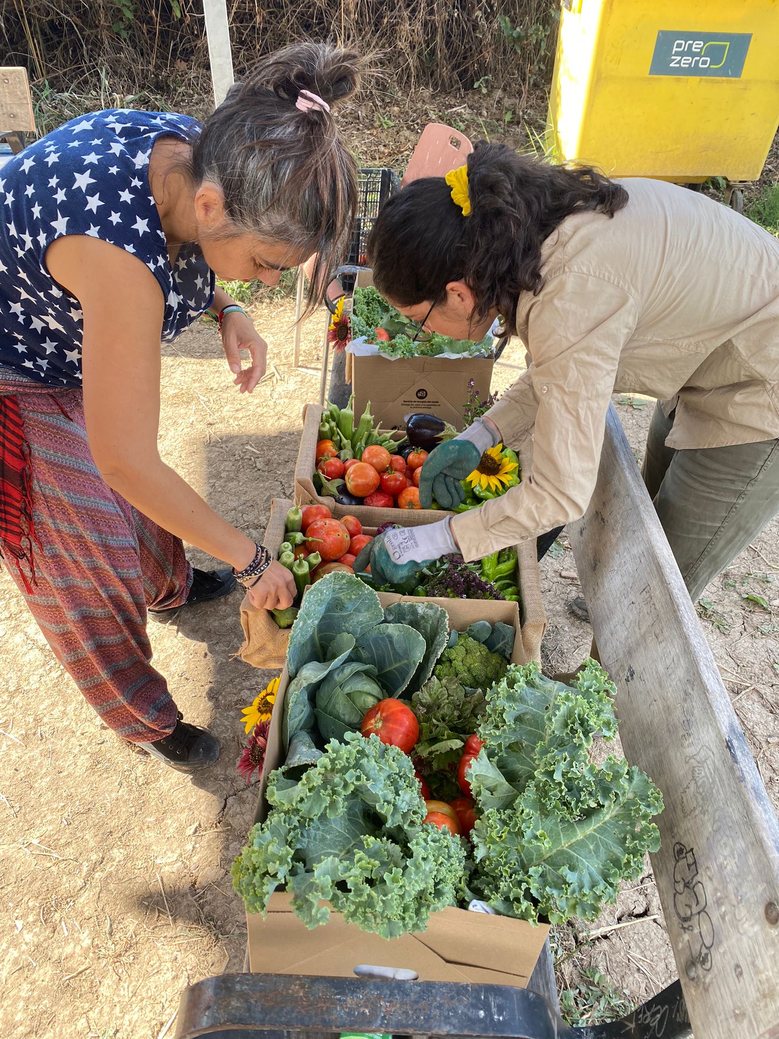 Madrid exhibe su riqueza agrícola en una jornada de puertas abiertas en Aranjuez