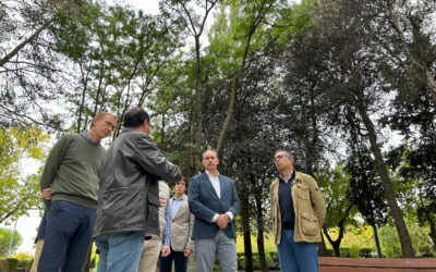 Madrid implementa Inteligencia Artificial para la gestión de zonas verdes en municipios