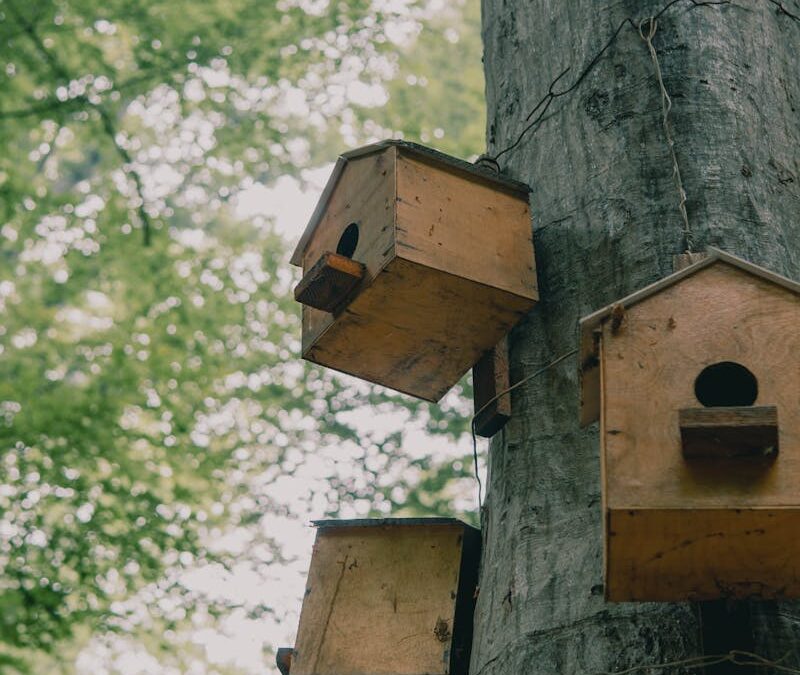 Vecinos de Pinto se unen para instalar cajas nido y proteger aves insectívoras