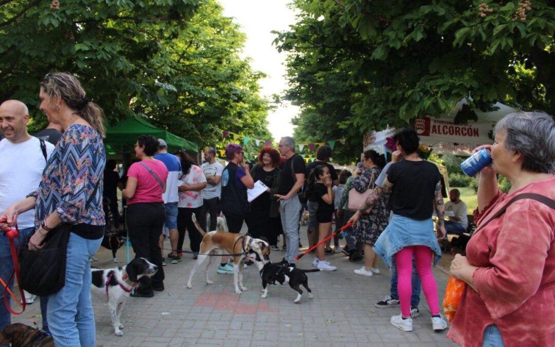 Alcorcón celebra su primer Mercadillo Solidario Navideño para ayudar a las protectoras de animales