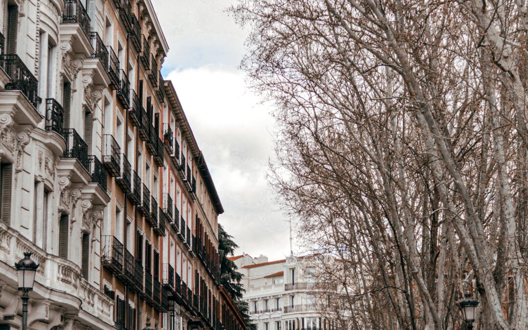 Heladas generalizadas y descenso de máximas este martes en Madrid