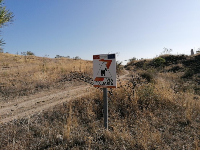 Valdemoro impulsa la recuperación de sus vías pecuarias