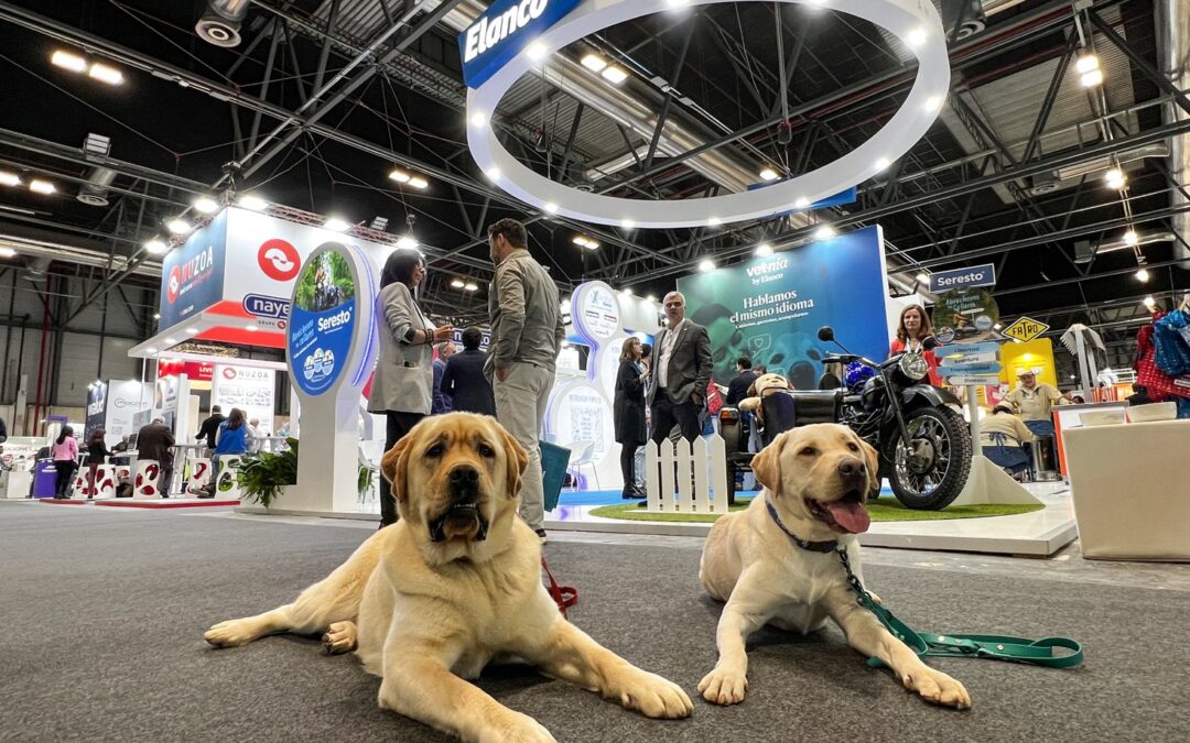 Iberzoo Propet 2025 reúne a la industria veterinaria y del cuidado animal en IFEMA