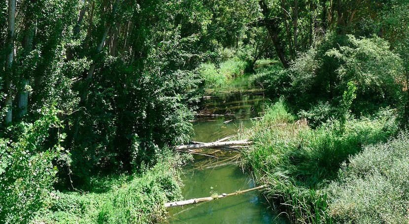 iAgua_Preocupación entre agricultores por el posible desbordamiento del río Tajuña