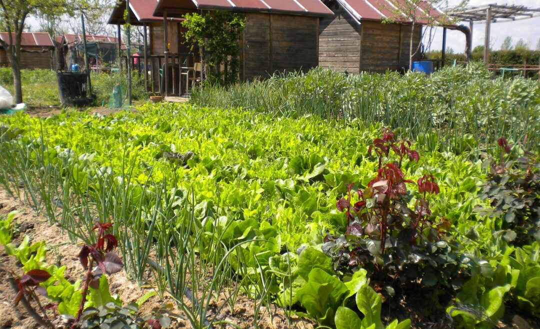 Vecinos de Leganés reclaman más huertas de ocio y políticas alimentarias sostenibles