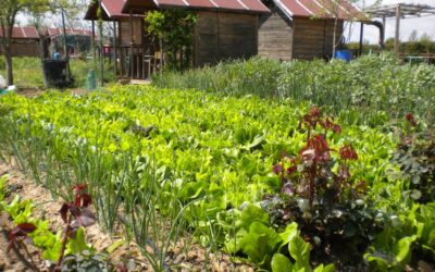 Vecinos de Leganés reclaman más huertas de ocio y políticas alimentarias sostenibles