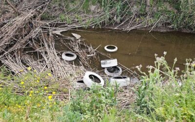 Fuenlabrada organiza una limpieza colectiva del Arroyo de Valdeserrano