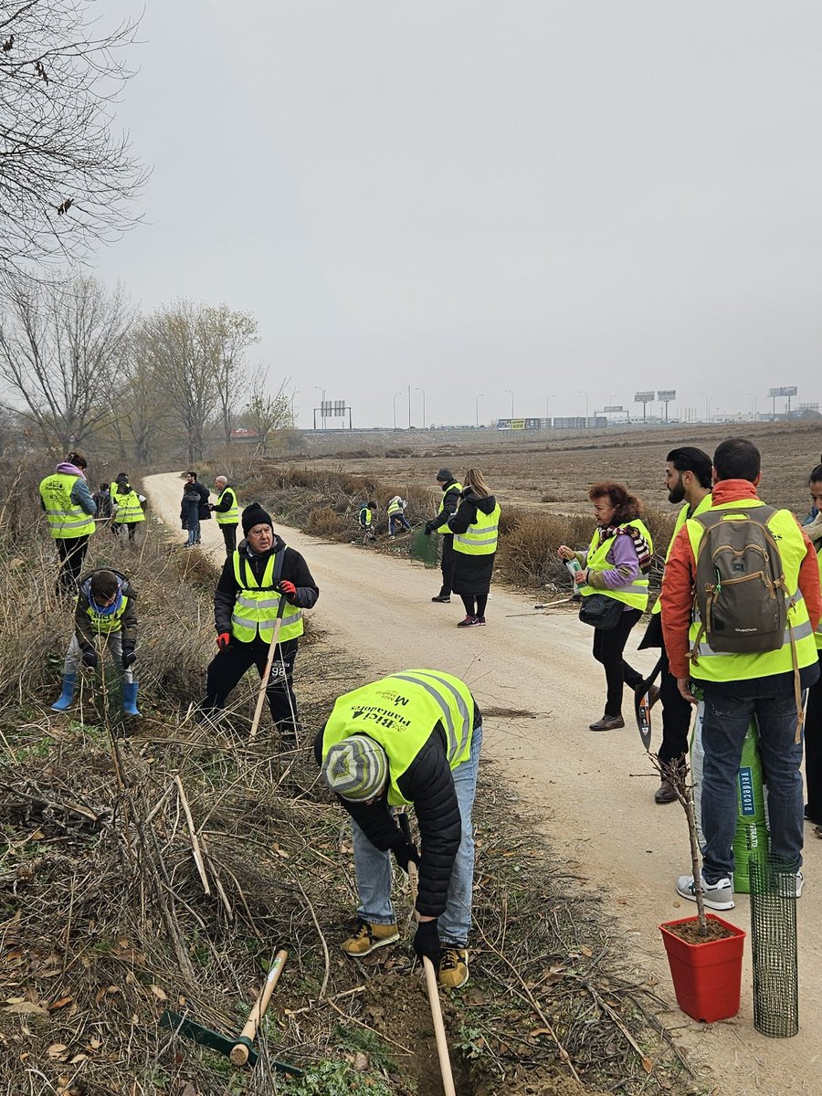 X_Los ‘Biciplantadores’ continúan su labor ambiental en Leganés