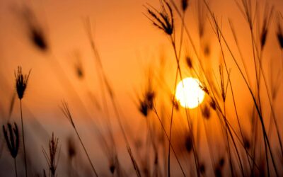Temperaturas extremas en España desde el sábado