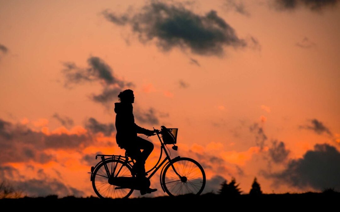 Metro de Madrid y Bicimad celebran el Día de la Bicicleta con acceso gratuito para ciclistas