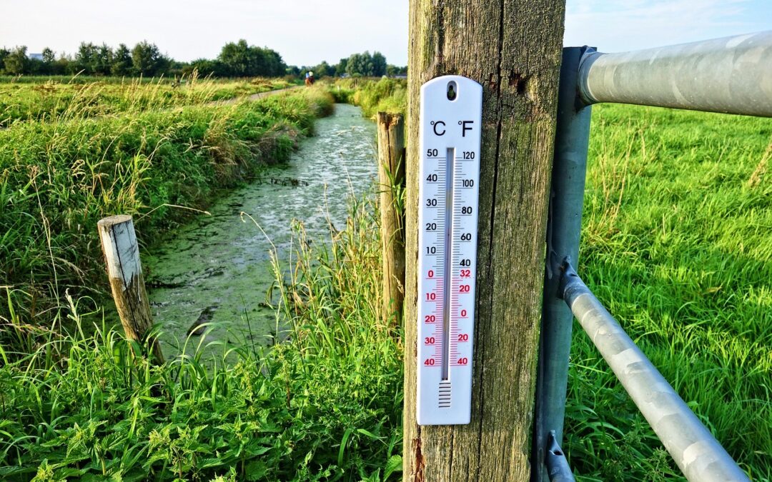 Madrid alcanza los 36 °C en una nueva jornada de calor extremo