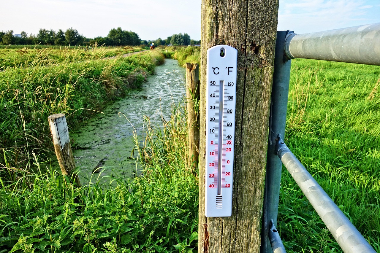 Pixabay_Madrid alcanza los 36 °C en una nueva jornada de calor extremo