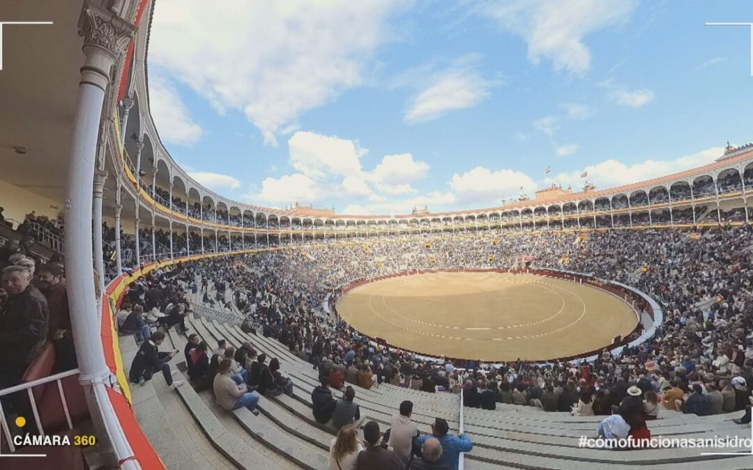 Madrid celebra la V Fiesta del Toro con las finales de la Copa Chenel y el Circuito de Novilladas